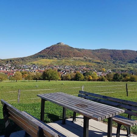 Ferien In Neuffen - Ferienwohnung Plaue Bagian luar foto